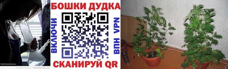 МАРИХУАНА план  Тетюши 